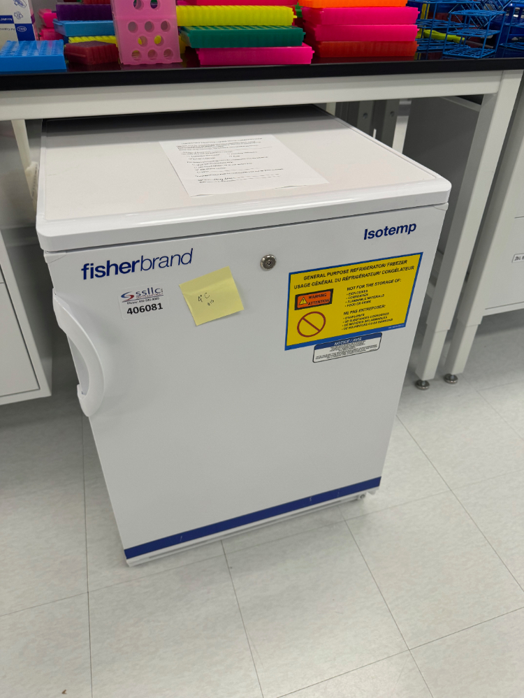 Image of Fisherbrand Isotemp Undercounter Refrigerator